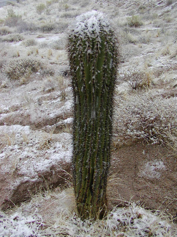 P3110594