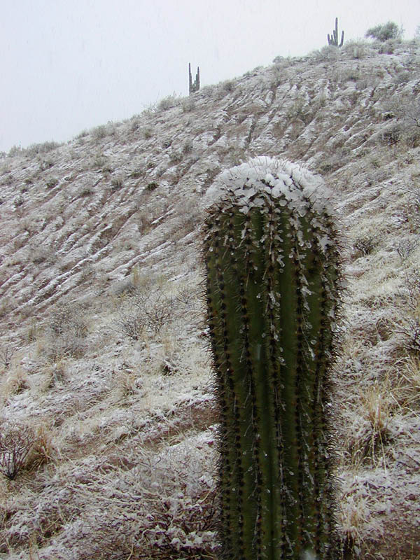 P3110597