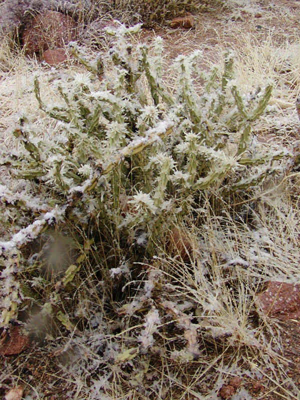 P3110598