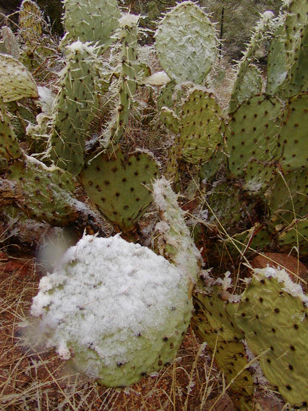 P3110599