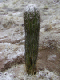 P3110594